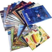 Meteksan Kaye Dikişli Seren Plastik Kapak Kareli 100 Yaprak A4 Defter