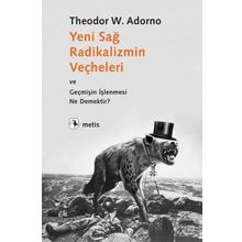 Metis Yayınları - Yeni Sağ Radikalizmin Veçheleri ve Geçmişin İşlenmesi Ne Demektir ?