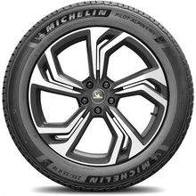 Michelin 235/45 R21 101V XL Pilot Alpin 5 SUV Kış Lastiği 2023