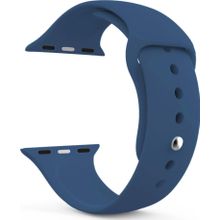 Microsonic Apple Watch Series 5 Lacivert 40 mm Silikon Kordon