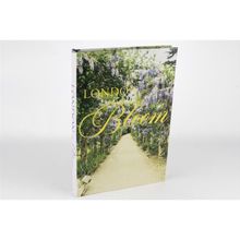 Mikasa Moor London Bloom 35x24x3 cm Kitap Kutu