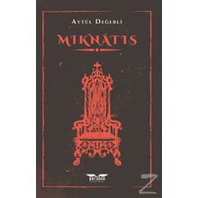 Mıknatıs - Aytül Değerli