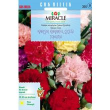 Miracle 190 Adet Chabaud Mixed Karışık Renkli Karanfil Çiçeği Tohumu