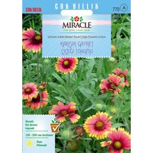 Miracle 190 Adet Karışık Gayret Çiçeği Tohumu