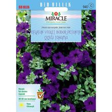Miracle Eflatun Alderman Violet 800 Tohum Bodur Petunya Çiçeği
