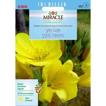 Miracle Ezan Çiçeği 480 Tohum