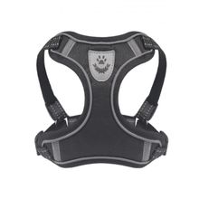 Mixpet L Gezdirmeli Köpek Armalı Göğüs Tasması