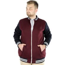 Mode XL 22618 Mürdüm Büyük Beden Kolej Erkek Mont