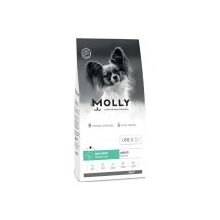 Molly Küçük Irk Hipoalerjenik Somonlu 2 kg Yetişkin Köpek Maması