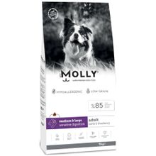 Molly Medium Adult Kuzu Etli & Yaban Mersinli 15 kg Orta ve Büyük Irk Yetişkin Köpek Maması