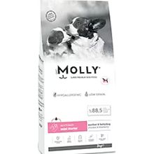 Molly Mini Starter 2 kg Tavuklu ve Yaban Mersinli Anne Yavru Köpek Maması