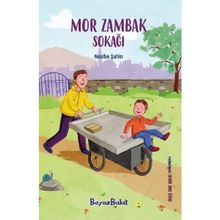 Mor Zambak Sokağı Beyaz Bulut Kitap