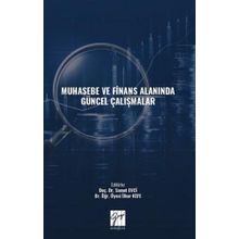 Muhasebe ve Finans Alanında Güncel Çalışmalar - Kolektif