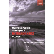 Multidisipliner Yaklaşımla İktisadi Kriz Olgusu 2 - Gülgün Çiğdem