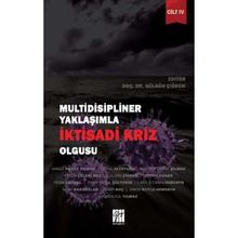 Multidisipliner Yaklaşımla İktisadi Kriz Olgusu Cilt 4 - Gülgün Çiğdem