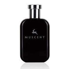 Muscent M161 EDP 50 ml Erkek Parfüm