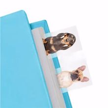 Mustard Dog in a Book Ayraç