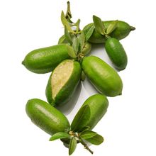 Nadir 3 Adet Parmak Limon Tohumu