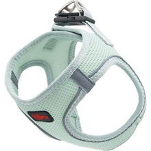Natura Pet 32x35 cm M Yeşil Zambak Air Net Köpek Bel Tasması