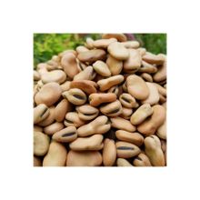 Natural Köy Ürünleri 500 gr Kuru Bakla