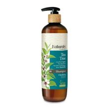 Naturals By Watsons Tea Tree 490 ml Şampuan