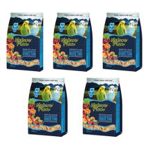 Nature Plan 5x1 kg Meyve Aromalı Ballı Muhabbet Kuşu Yemi