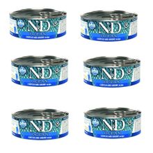 N&D 6x80 gr Ocean Morina Balığı Karides ve Balkabaklı Yavru Kedi Konservesi