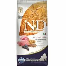N&D Düşük Tahıllı Kuzulu Yaban Mersinli Yavru Büyük Irk 12 kg Köpek Maması