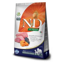 N&D Kuzu Etli Balkabaklı 2.5 KG Medium & Maxi Köpek Maması