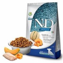 N&D Ocean Morina 2.5 kg Balkabak-Kavunlu Mini Yavru Köpek Maması