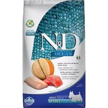 N&D Ocean Somon ve Morina Kavunlu Mini Irk 2.5 kg Köpek Maması
