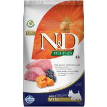 N&D Pumpkin Tahılsız Kuzu Eti Balkabağı ve Yaban Mersinli Küçük Irk 2.5 kg Yetişkin Köpek Maması