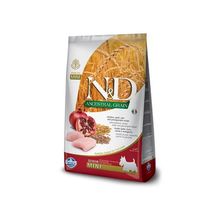 N&D Senior Mini Düşük Tahıllı Tavuk ve Narlı Küçük Irk Yaşlı 2500 gr Köpek Maması