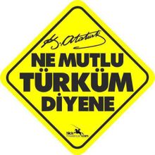 Ne Mutlu Türküm Diyene - Emine Işınsu