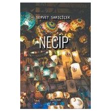 Necip - Servet Sarıçiçek