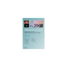 Nefropatoloji - Komisyon
