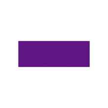 Nerchau Violet 59 ml İpek Boyası