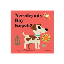 Neredeymiş Bay Köpek? - Domingo Yayınevi