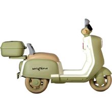 Nessiworld Wespina Kumandalı Akülü Motor 6V Yeşil Wpak3