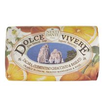 Nesti Dante Dolce Vivere Capri 250 gr Sabun