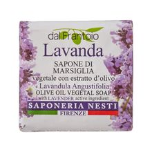 Nesti Dante Lavanda Sapone Di Marsiglia 100 gr Sabun