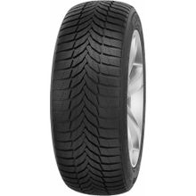Nexen 225/40 R18 92V XL Winguard Sport 2 Kış Lastiği