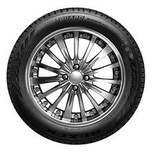 Nexen 225/55 R18 102V XL Winguard Sport 2 Suv Kış Lastiği