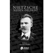 Nietzsche Neden Delirdi Ayşe Şirin Çakmakçı