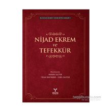Nijad Ekrem ve Tefekkür - Recaizedi Mahmut Ekrem
