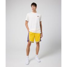Nike AJ5617-728 NBA Los Angeles Lakers Lebron Erkek Sarı Basketbol Şortu