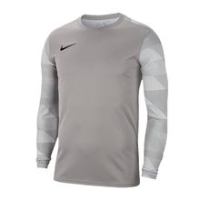 Nike CJ6066 M Nk Dry Park IV Erkek Futbol Kaleci Forması