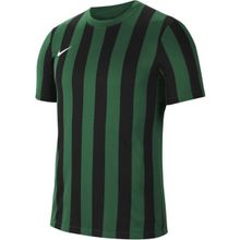 Nike CW3813-302 Dri-Fit Striped Division IV Erkek Yeşil Futbol Forma