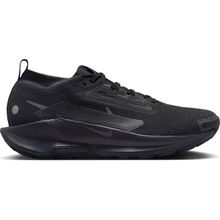 Nike FQ0908-002 Pegasus Trail 5 Gore-Tex Siyah Arazi Tipi Erkek Koşu Ayakkabısı