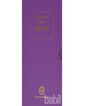 Niyazi-i Mısri Halveti Divanı - Mustafa Tatcı